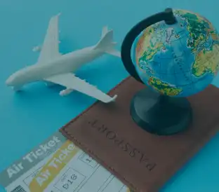 visa service sec